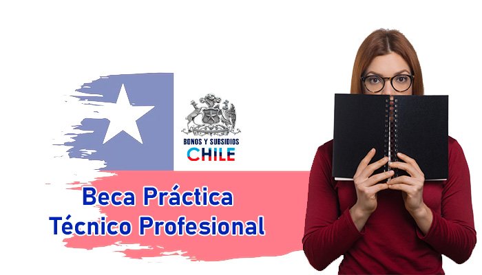 Beca Práctica Técnico Profesional